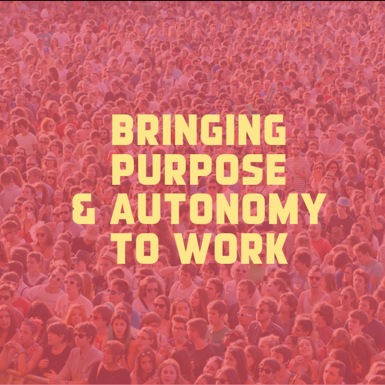 cover art for Bringing purpose and autonomy to work