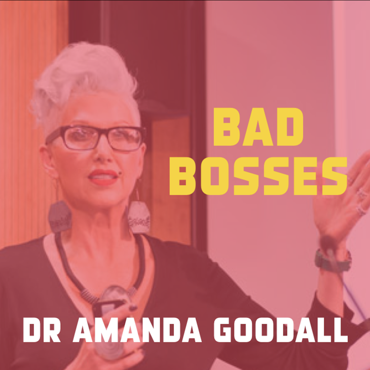 cover art for Bad bosses: what makes a good leader?