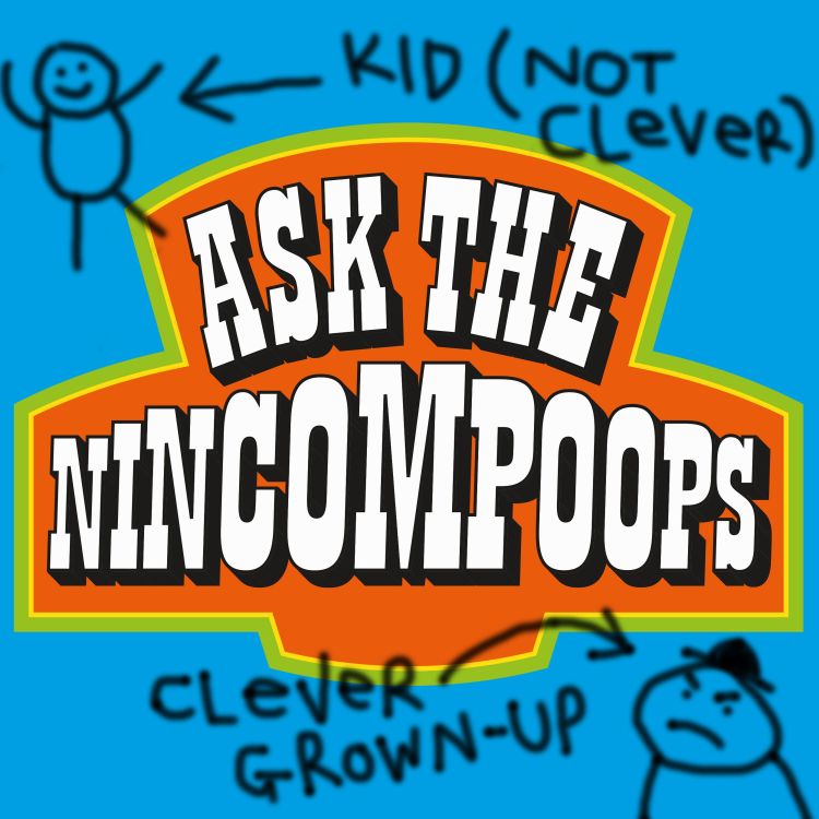 cover art for Ask The Nincompoops - Coming Friday 28th September 2018!