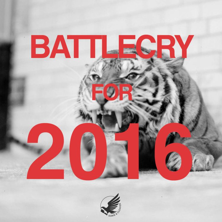 cover art for Setting Goals For 2016