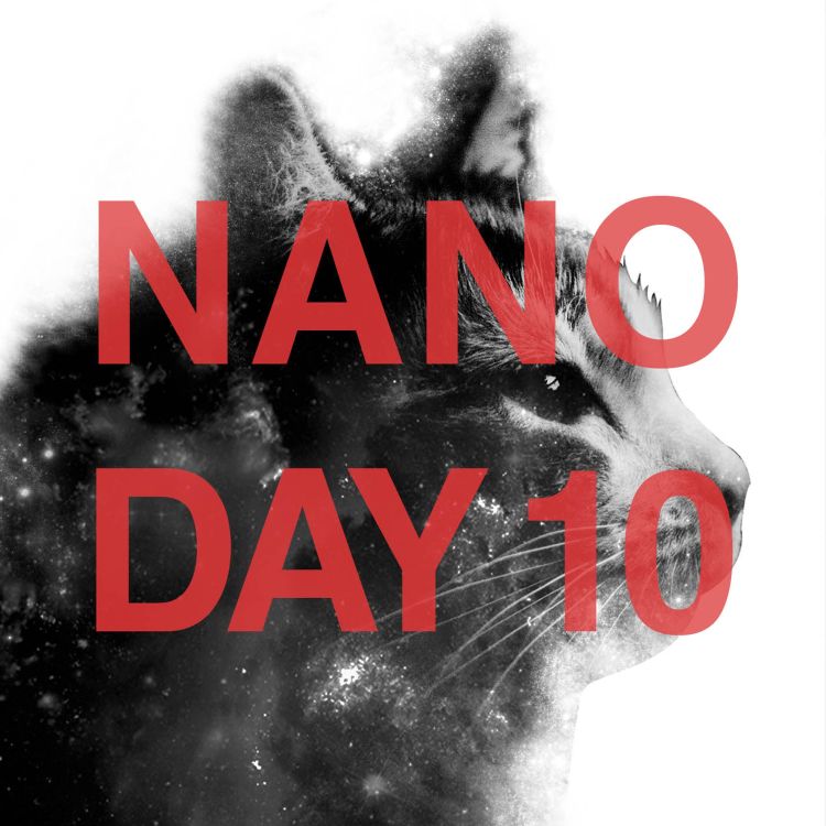 cover art for NANO Day 10 - Feeling The Burnout