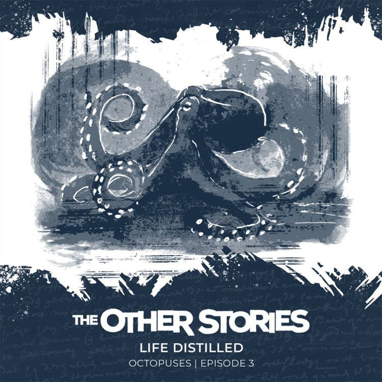 cover art for 82.3 Life Distilled