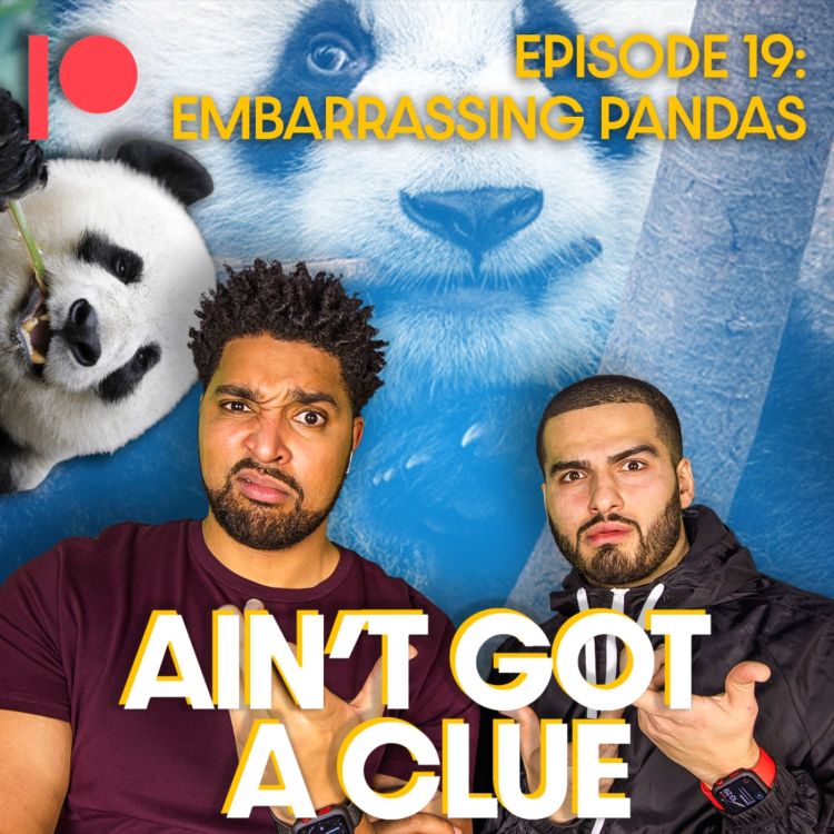 cover art for Bonus Ep B019 - Embarrassing Pandas! 