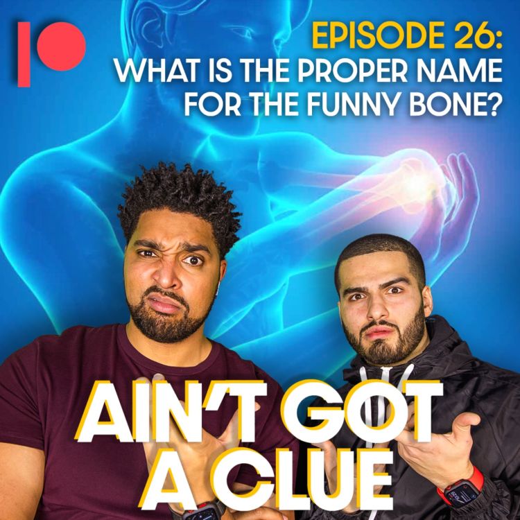 cover art for Bonus Ep B026 - What is the proper name for the Funny Bone? 