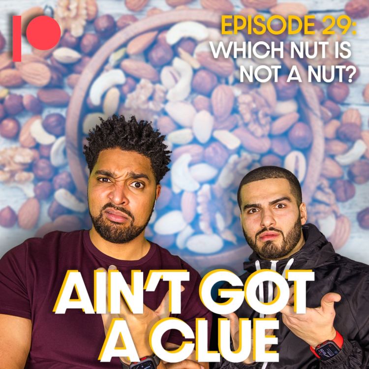 cover art for Bonus Ep B029 - Which nut is NOT a nut? 