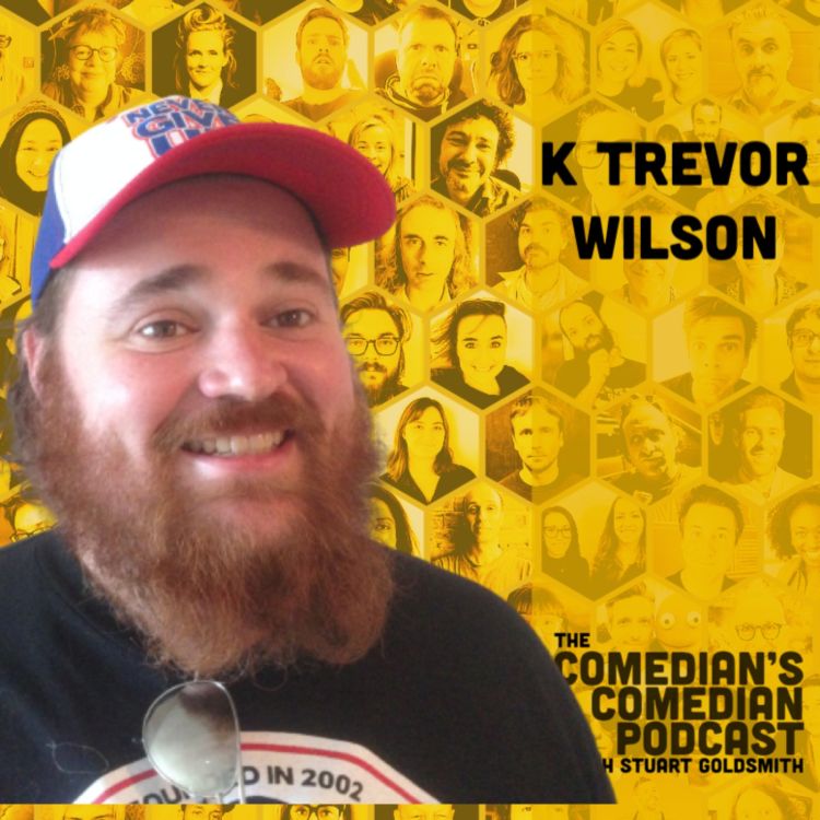 cover art for 396 - K Trevor Wilson