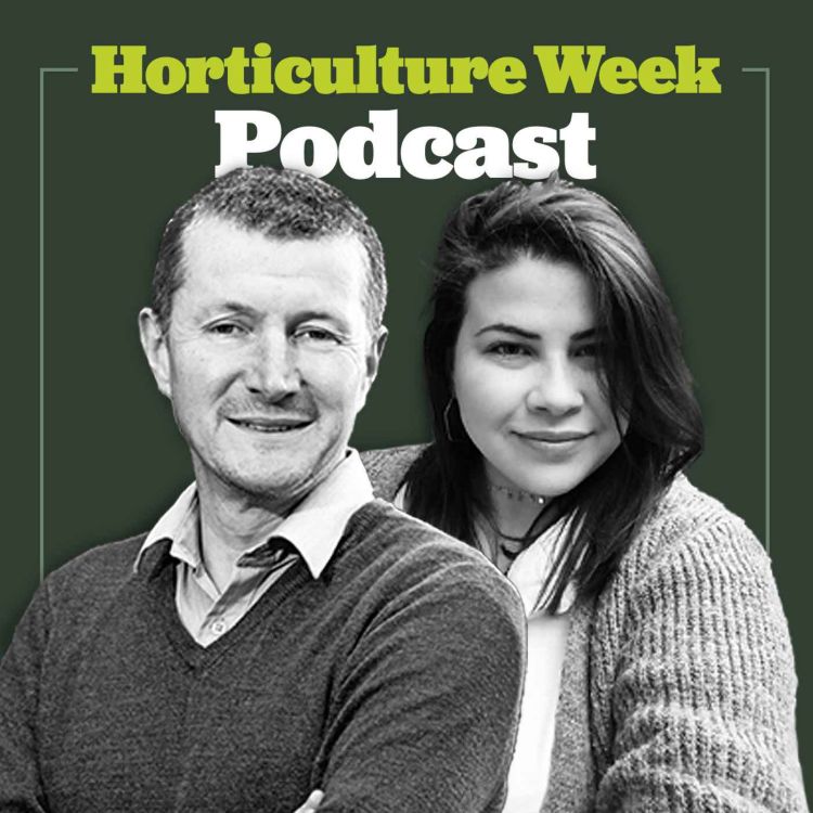 cover art for Horticulture Week Podcast #6: Stars for Europe on the poinsettia market for 2020 and beyond - Sponsored by Stars for Europe