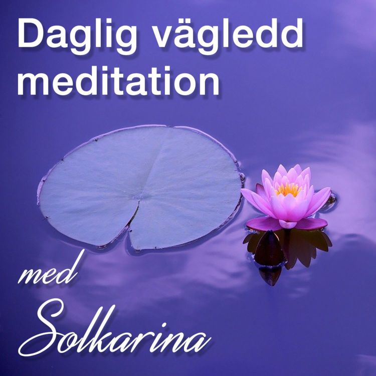 cover art for Meditation: Skapa kontakt med Reikikällan med Solkarina