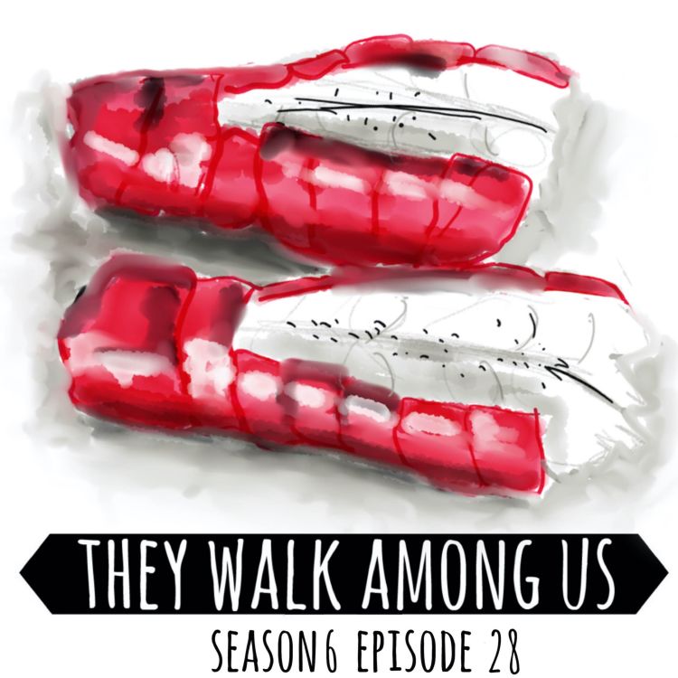 cover art for Season 6 - Episode 28