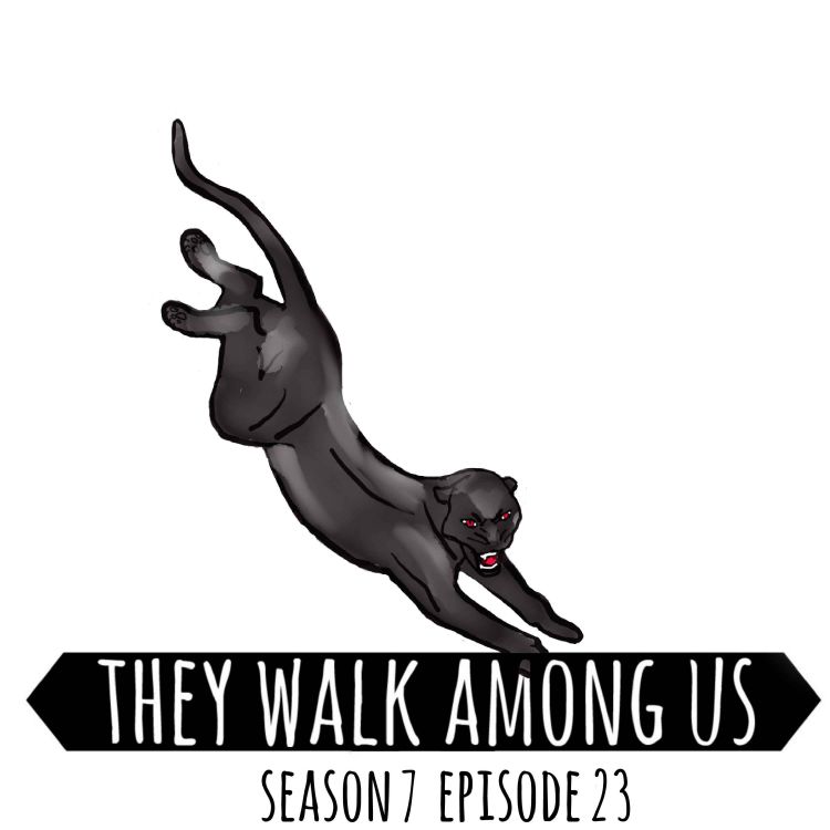 cover art for Season 7 - Episode 23