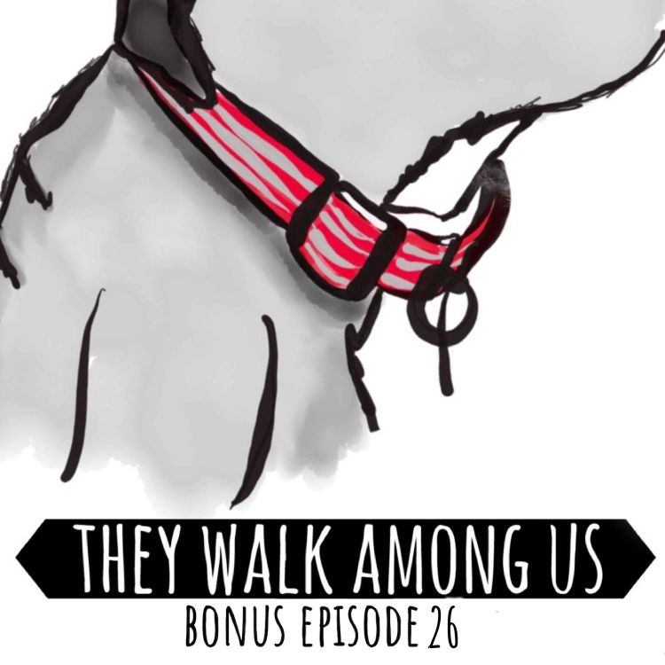 cover art for Bonus Episode 26