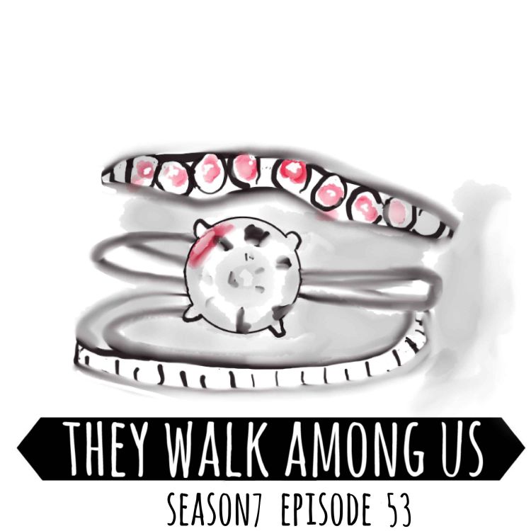 cover art for Season 7 - Episode 53