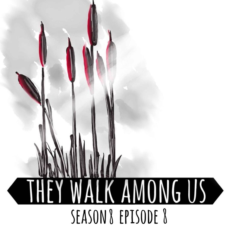 cover art for Season 8 - Episode 8
