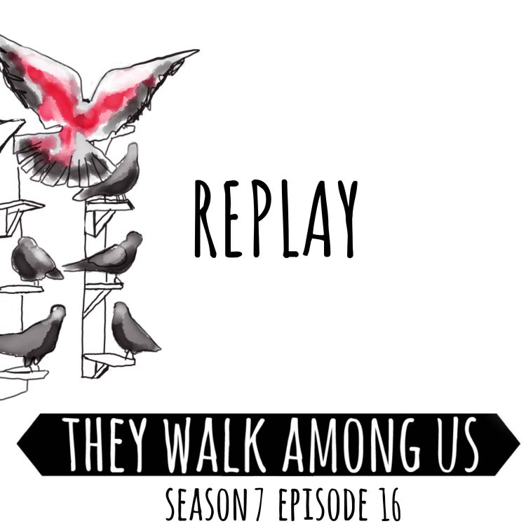 cover art for REPLAY - Season 7 - Episode 16