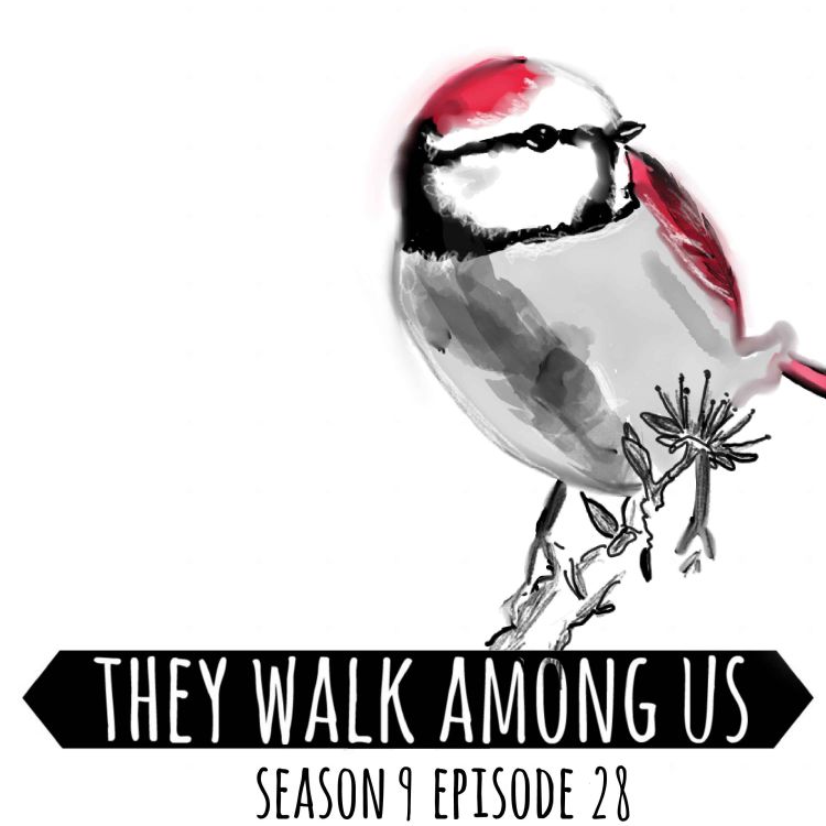 cover art for Season 9 - Episode 28