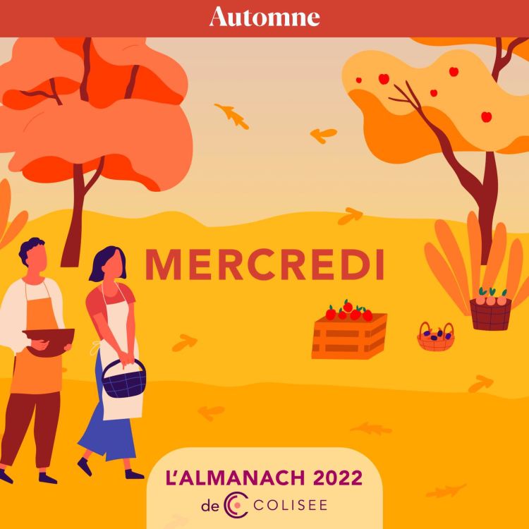 cover art for Mercredi 23 Novembre 2022 - St Clément - Couteaux bout arrondi 