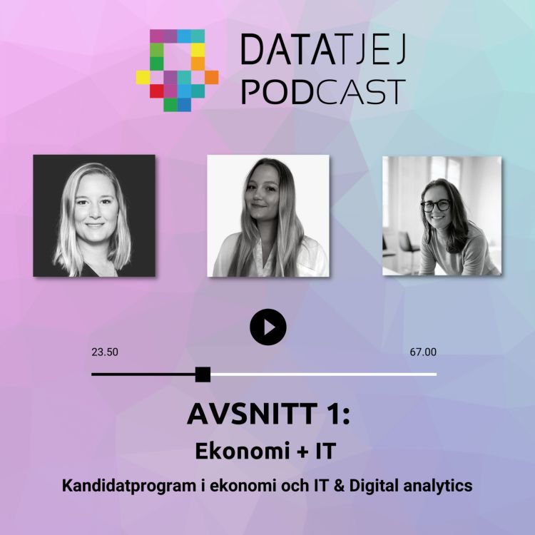 cover art for Ekonomi + IT (Kandidatprogram i ekonomi och IT & Digital analytics) 