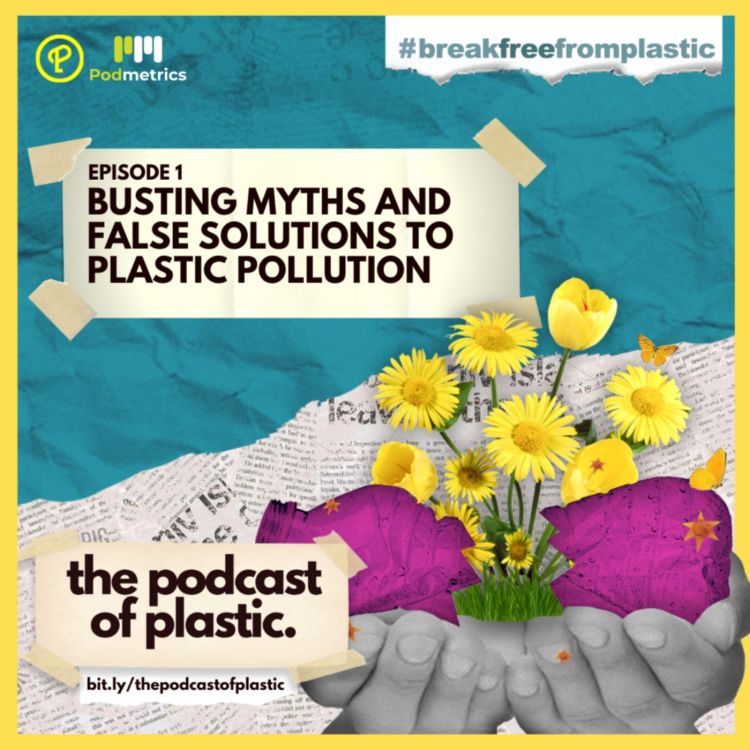 cover art for Busting Myths and False Solutions to Plastic Pollution: Bioplastics? Ecobricks? Waste-to-Energy? Greenwashing? 