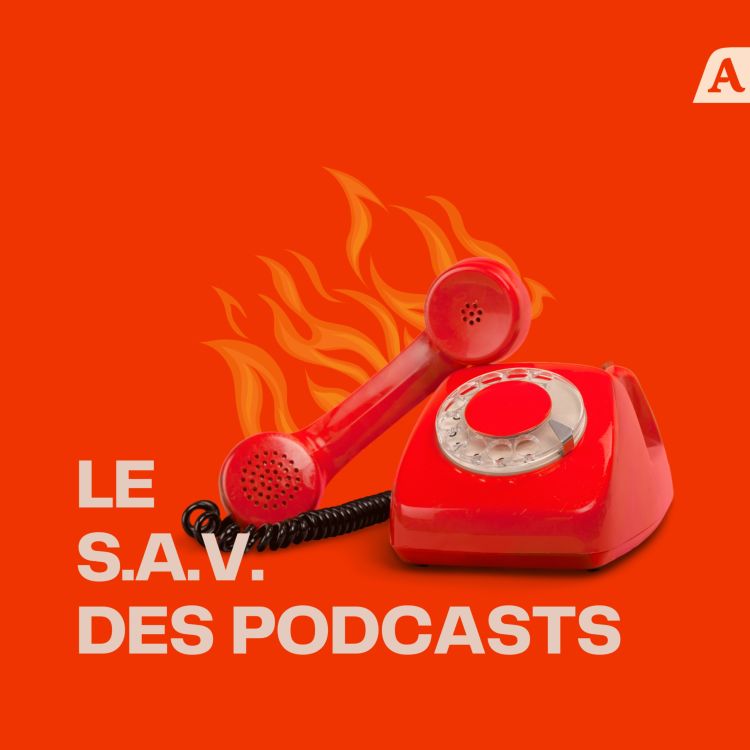 cover art for 1 podcast = 1 bouquin ?