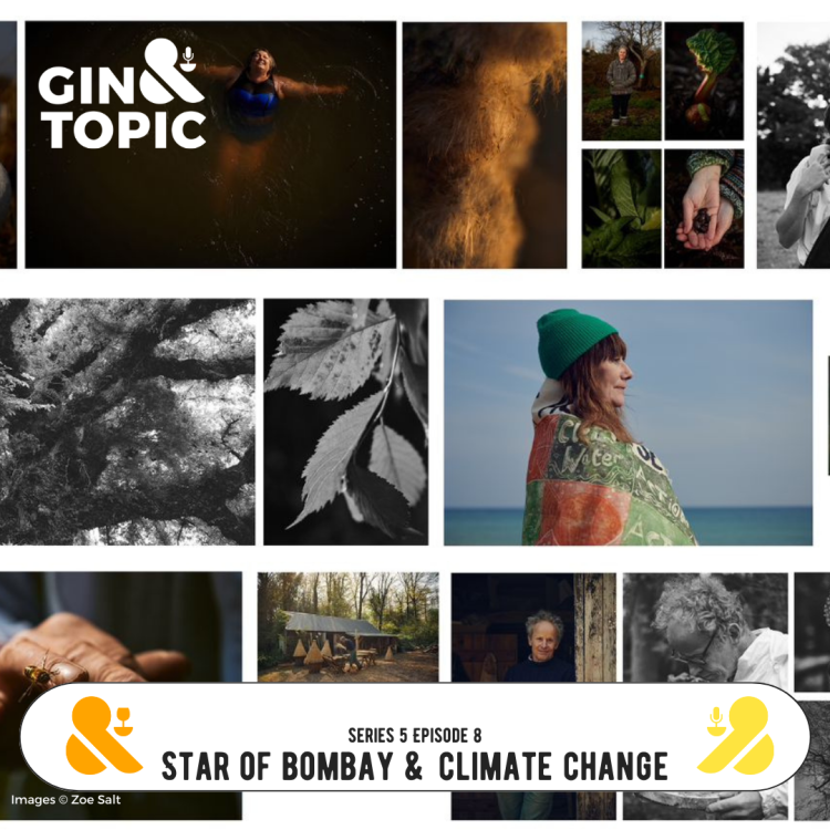 cover art for Star of Bombay & Climate Change