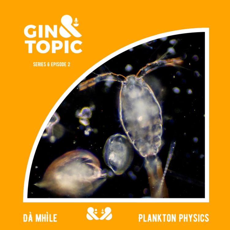 cover art for Dà Mhìle & Plankton Physics