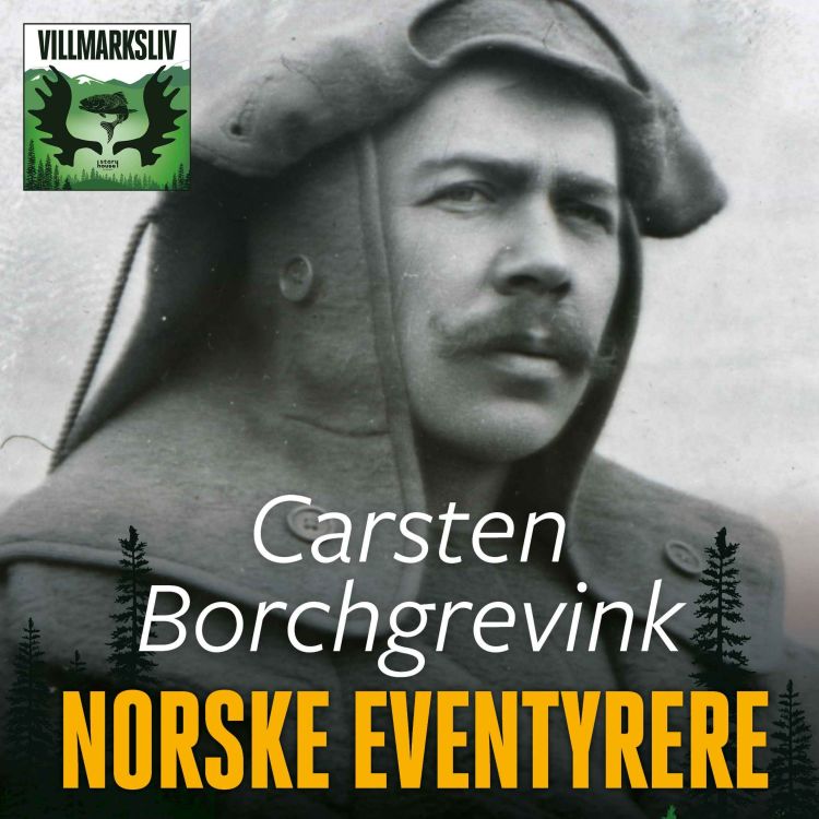 cover art for Carsten Borchgrevink - Norske eventyrere