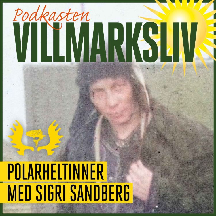 cover art for Polarheltinner med Sigri Sandberg - Norske eventyrere 2023