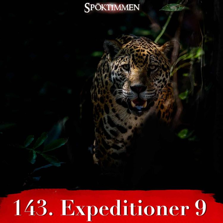 cover art for Expeditioner 9