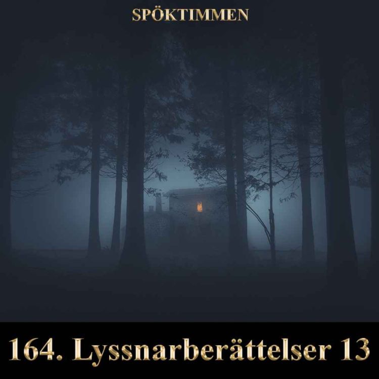 cover art for Lyssnarberättelser 13