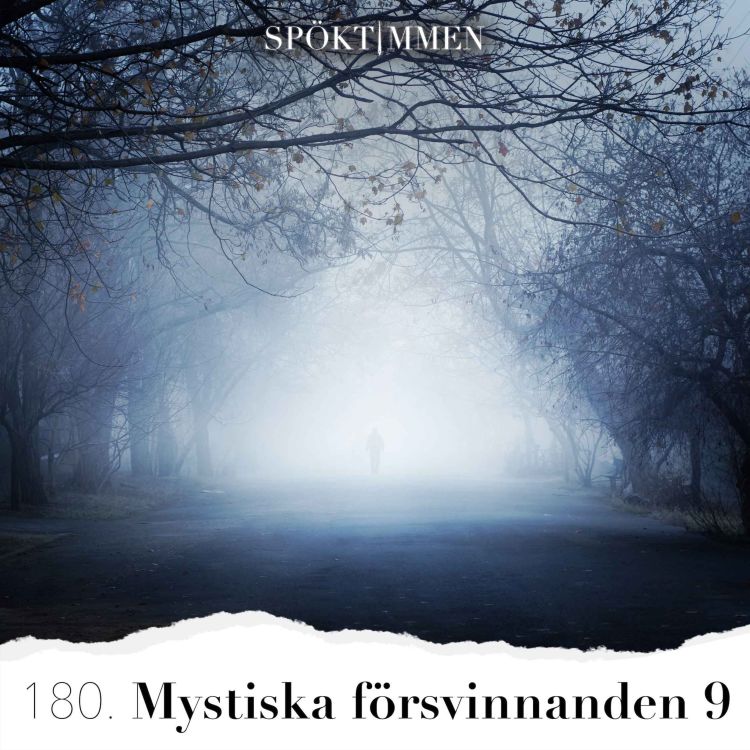 cover art for Mystiska försvinnanden 9