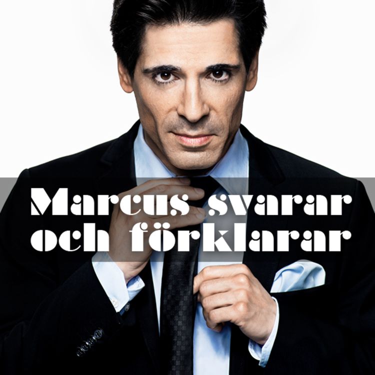 cover art for 14. Maria Arnholm (FP) – om hur det är att vara partisekreterare och vad det egentligen innebär