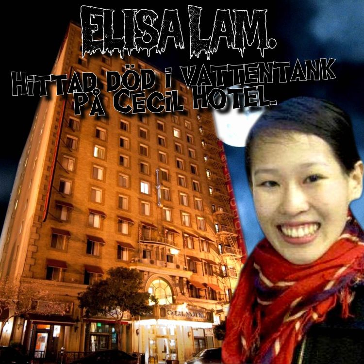 cover art for Elisa Lam - Hittad död i vattentank på taket.