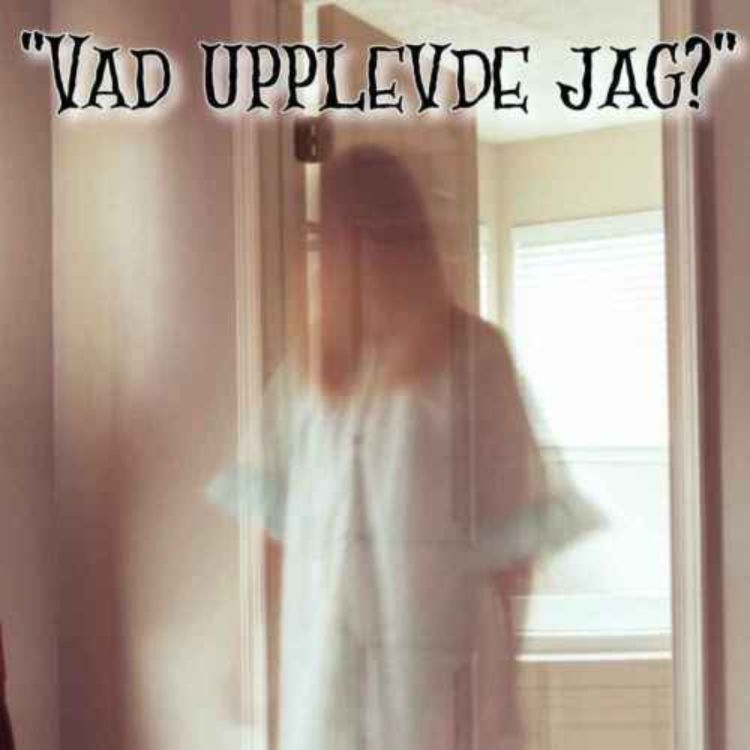 cover art for "VAD UPPLEVDE JAG?" 