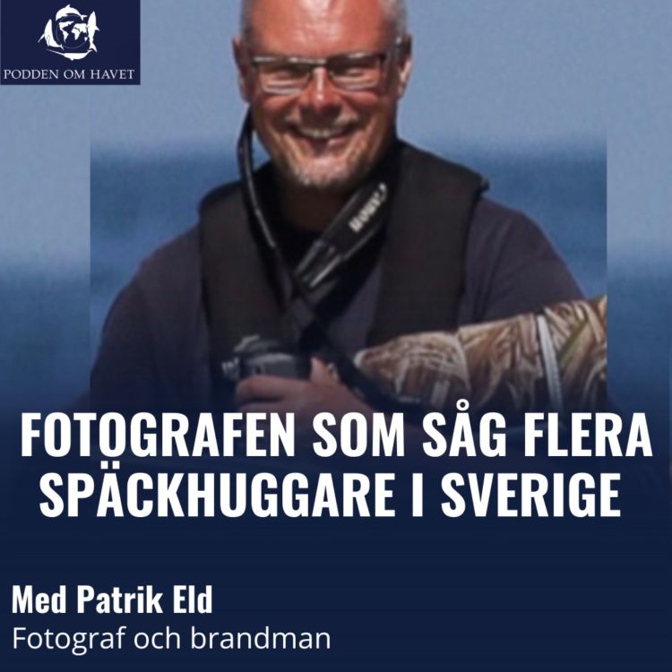 cover art for Patrik Eld - Om fotografen som såg späckhuggare i Sverige