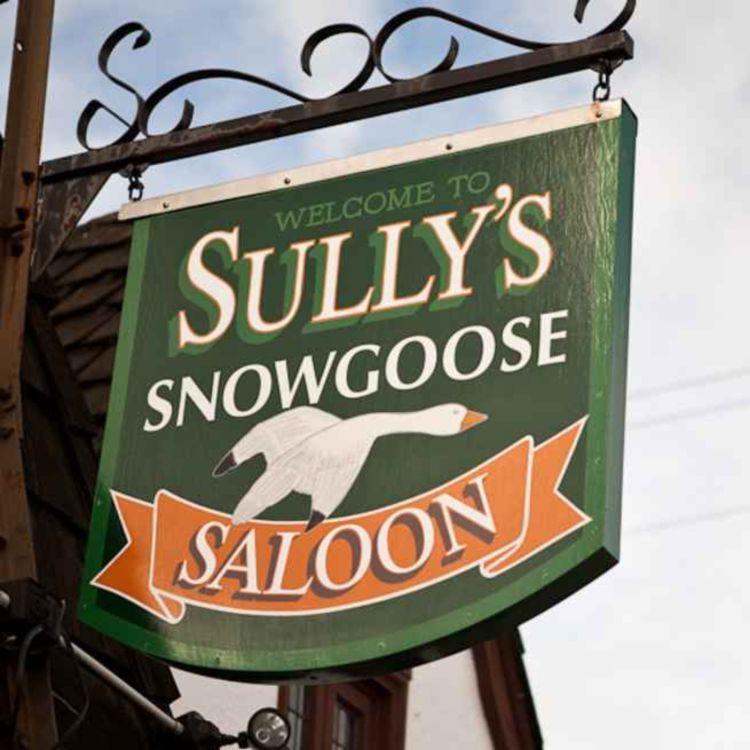 cover art for Sully's Snowgoose in Phinney Ridge