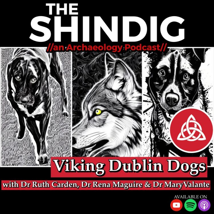 cover art for Viking Dublin Dogs