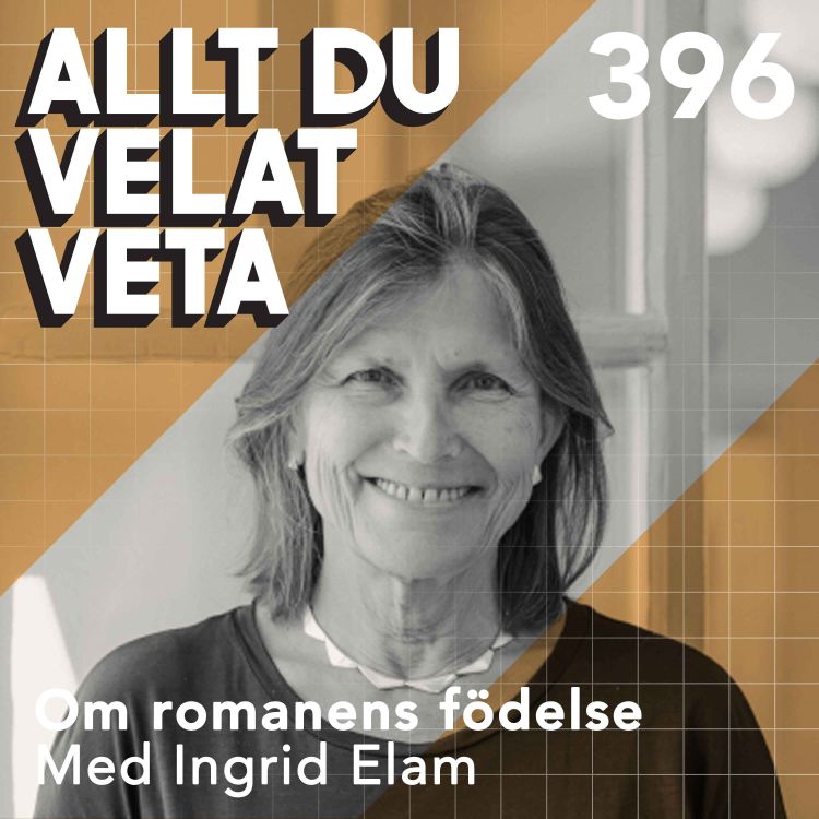 cover art for 396 Om romanens födelse med Ingrid Elam