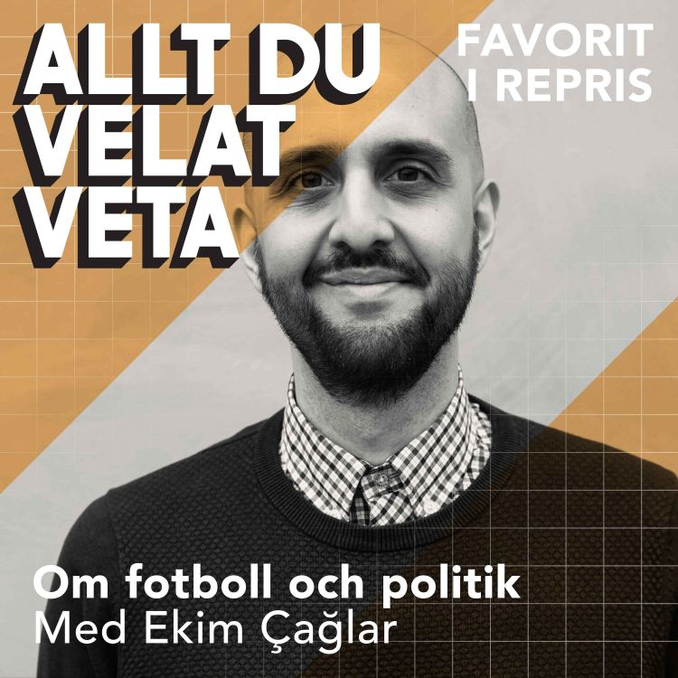 cover art for Om fotboll och politik (repris)