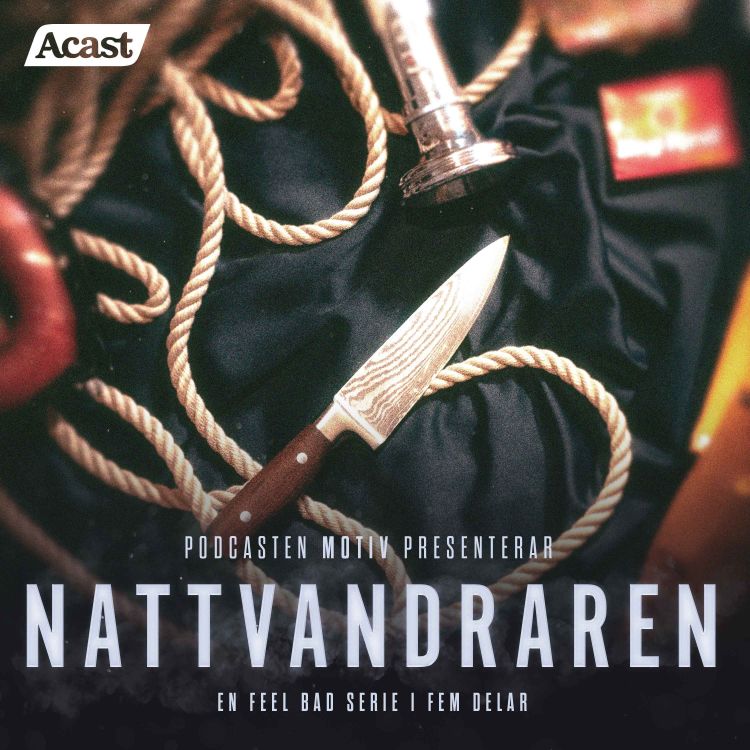 cover art for Nattvandraren - Del 2/5 "Misstänkt och utpekad"