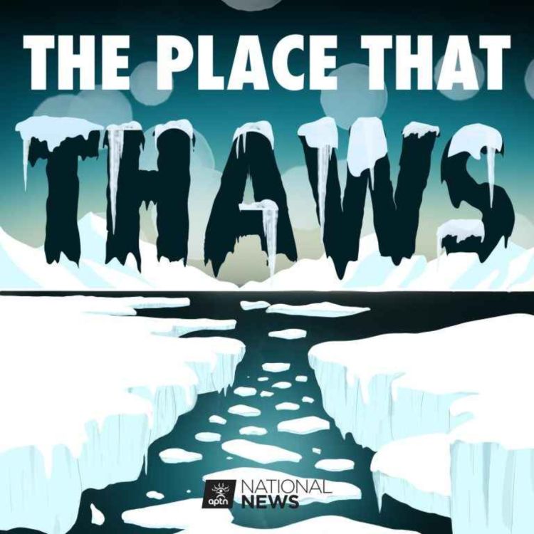 cover art for INTRODUCING: The Place That Thaws