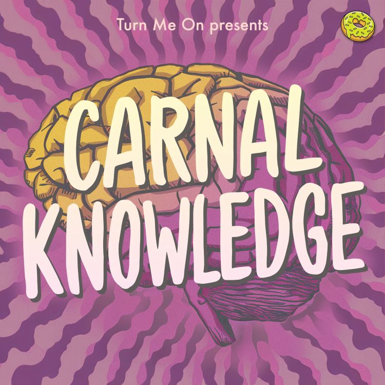 cover art for Carnal Knowledge:  Men’s Pornography Consumption & Body Image 