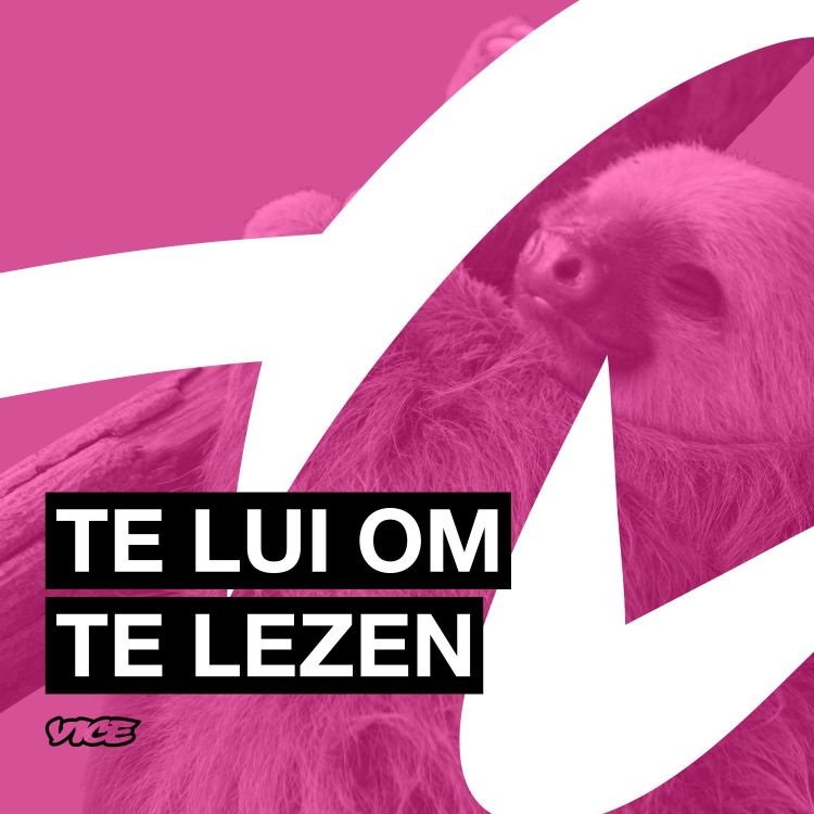 cover art for De toekomst van Transzorg