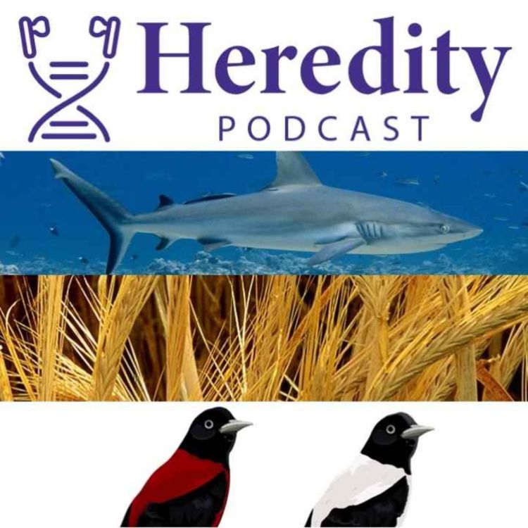 cover art for The best student-led papers in Heredity, Vol. 3