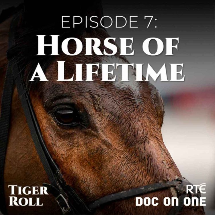 cover art for Tiger Roll, The People's Horse: 07 - Horse of a Lifetime