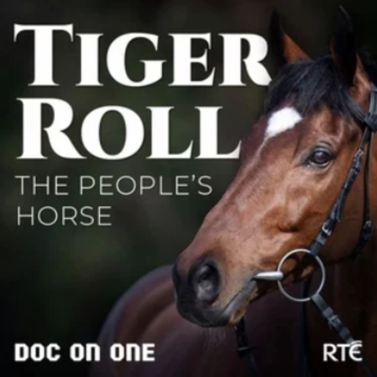 cover art for Tiger Roll, The People's Horse: Bonus - A Word with Michael O'Leary