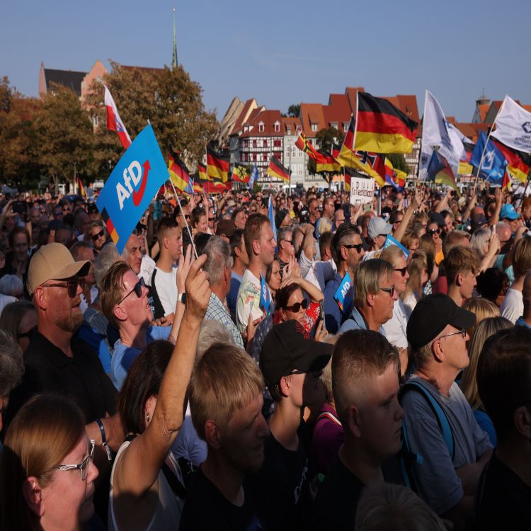 cover art for The AfD and Germany's Nazi past