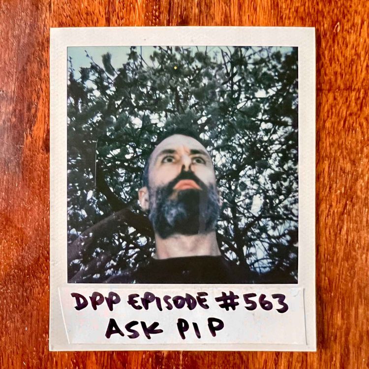 cover art for Ask Pip • Distraction Pieces Podcast with Scroobius Pip #563