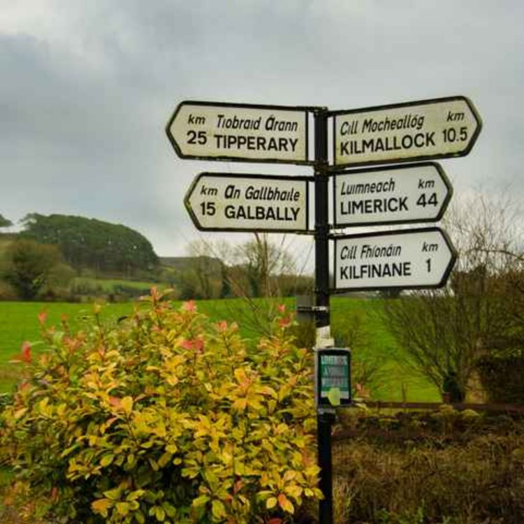 cover art for Council's response to mistranslated Irish welcome signs in Limerick