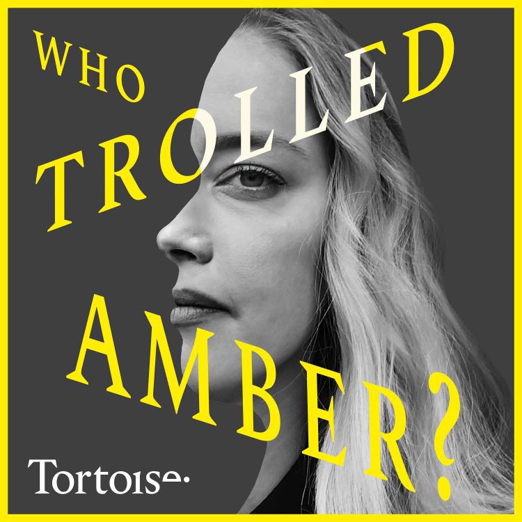 cover art for Who Trolled Amber?