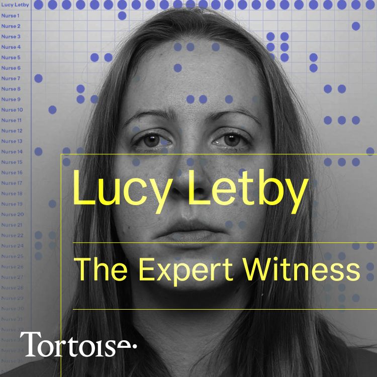 cover art for Lucy Letby: the Expert Witness